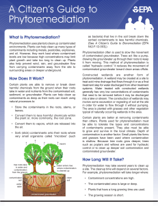 a citizens guide to phytoremediation