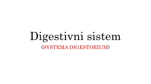 Digestivni sistem