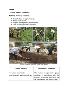 Module 3. Grow seedlings