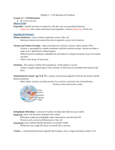 Chapter 2 -Cell Structure & Function