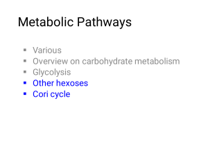 Carbohydrates Metabolism February 2021 PDF