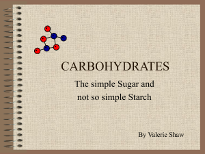 S4O1Carbohydrates