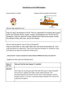 Fungi Worksheet- schoology