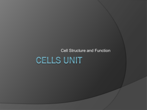 cells%20unit%20powerpoint%202