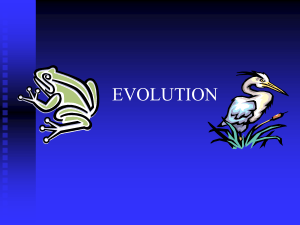 darwin evolution ppt