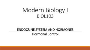 Biol103.11 Endocrine System (1)