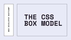  WDB CSS Box Model
