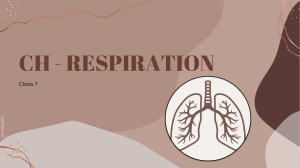 class 7 Respiration