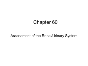 Chapter 60 AssessmentRenal UrinarySystem