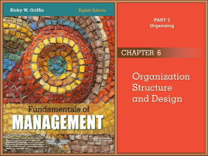 griffin 8e ppt ch06 Organization Structure and Design