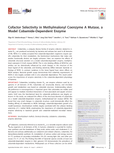 2019 Cofactor selectivity in methylmalonyl coenzyme A mutase, a model cobamide-dependent enzyme