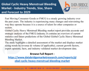 Global cyclic heavy menstrual bleeding market