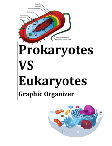 Prokaryotes VS Eukaryotes Graphic Organizer
