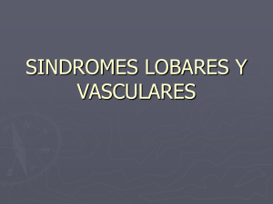 SINDROMES LOBARES Y VASCULARES (1)