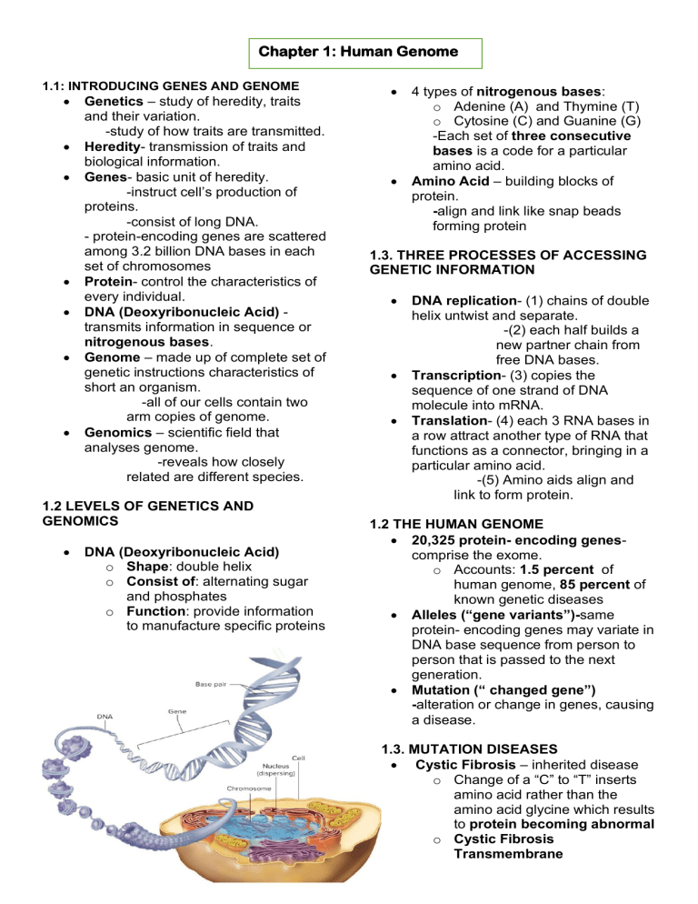 CHAPTER 1- “The Human Genome”