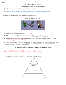 study guide unit 7 answer key