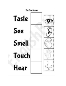 5 senses