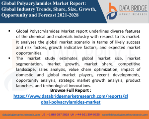 Polyacrylamides Market-Chemical Material