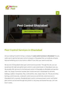 Affordable Pest Control Ghaziabad