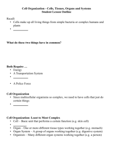 Student Lesson Outline - Cell Organization