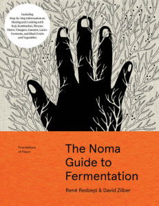 download-the-noma-guide-to-fermentation-9781579657185-8bi