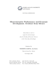 Microenterprise Performance and Economic Development: Evidence from Mexico
