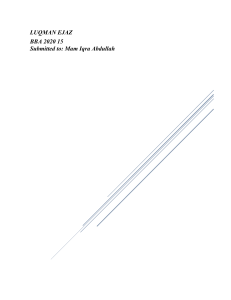 Literature Review-Luqman Ejaz-BBA 2020 15-BRM Project