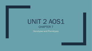 Chapter 7