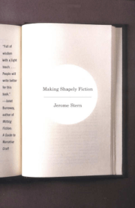 Making Shapely Fiction (Stern, Jerome)