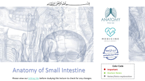 5- Anatomy of Small Intestines