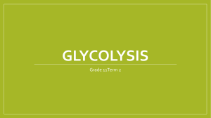 Glycolysis (1)