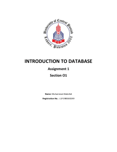 Introduction to Database Assignment