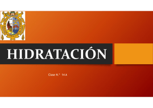 14.a.Hidratacion 378DA