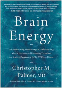 Brain-Energy-Christopher-M-Palmer