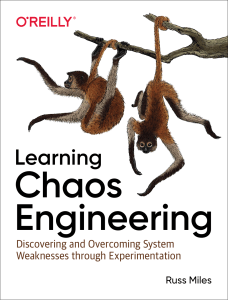 Learning Chaos Engineering: System Weakness Experimentation