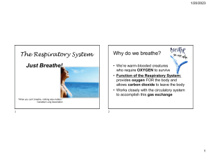 Function of Respiration and Mechanics of breathing