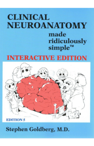 Clinical Neuroanatomy Made Ridiculously Simple by Stephen Goldberg (z-lib.org) (1)