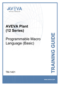 TM1401 - Aveva Plant 12 PML Basic