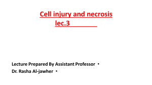 cell injury lec.3