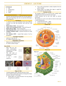 Cell Biology, Carbohydrates, Proteins, Lipids Lecture Notes