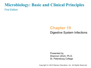 B & C  2019 Chapter19 Digestive System Blackboard