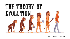 The theory of evolution roelb