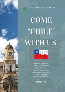 TC1-CHILE Portfolio