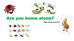 Are you home alone