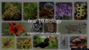 Yr 10 Biology- Natural Selection