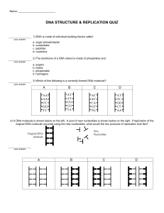 DNA Structure and Replication Quiz