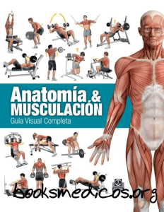 Anatomia y musculación guía visual completa