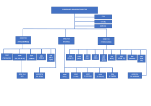 Organisation-Structure-1