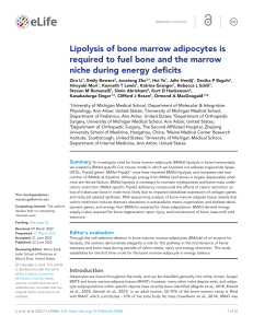 Lipolysis in Bone Marrow Adipocytes: Fueling Bone & Marrow