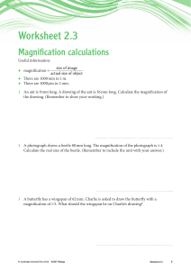 magnification worksheet